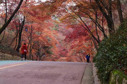 山路