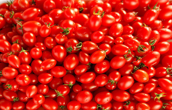 小西红柿 樱桃番茄 圣女果