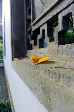 黄叶