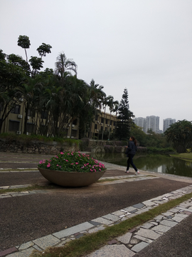 校园风景