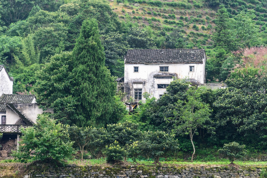 两岸民居