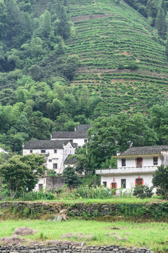 两岸民居