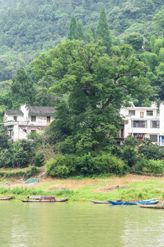 青山绿水