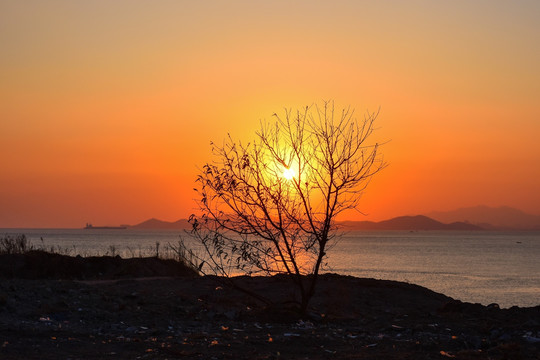 夕阳剪影图片