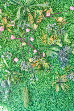 植物花卉背景墙 4000万像素