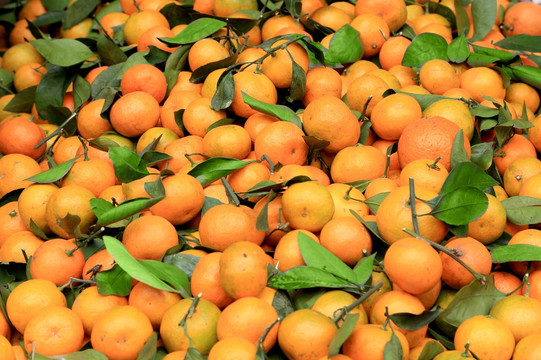 橘子一堆