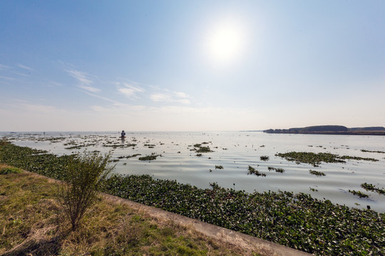 淀山湖畔