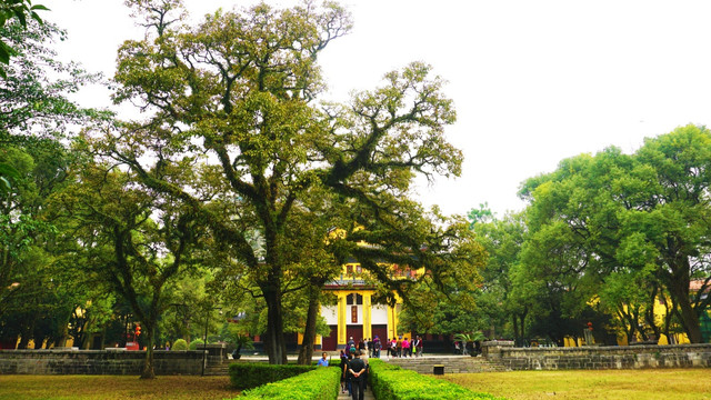 靖江王府风景