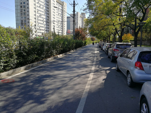 城市风光 夏天街景