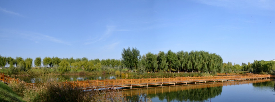 甘肃张掖高台国家级湿地公园