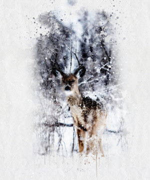 水彩画雪中的鹿