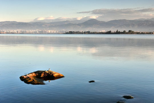 西昌邛海 湖泊 小鸟