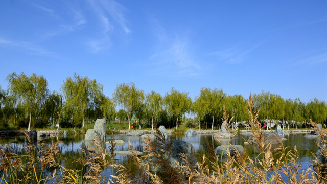甘肃高台国家级湿地公园