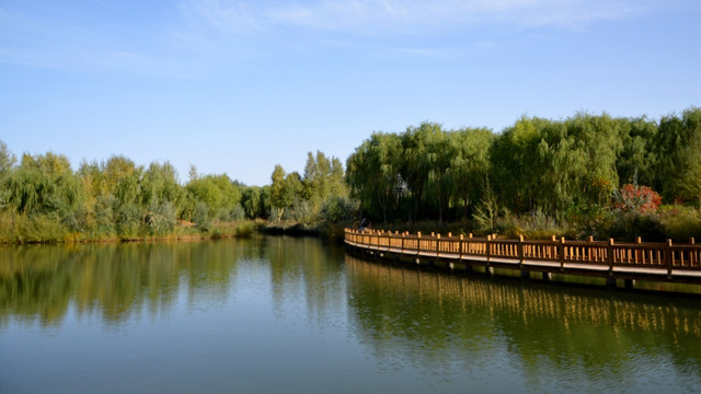 甘肃高台国家级湿地公园