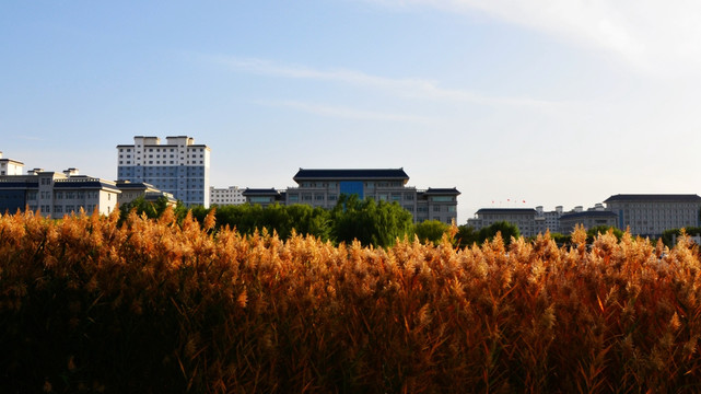 甘肃高台国家级湿地公园