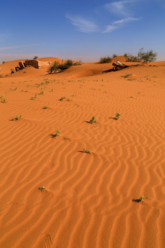 沙漠 黄沙 沙山