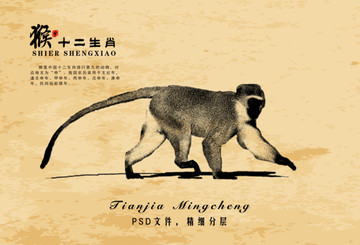 复古猴 装饰画 猴子