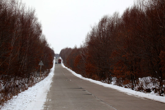 冬天 公路 森林 路 丘陵