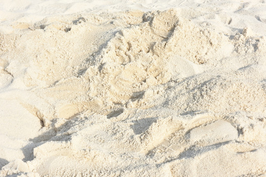 白色沙滩