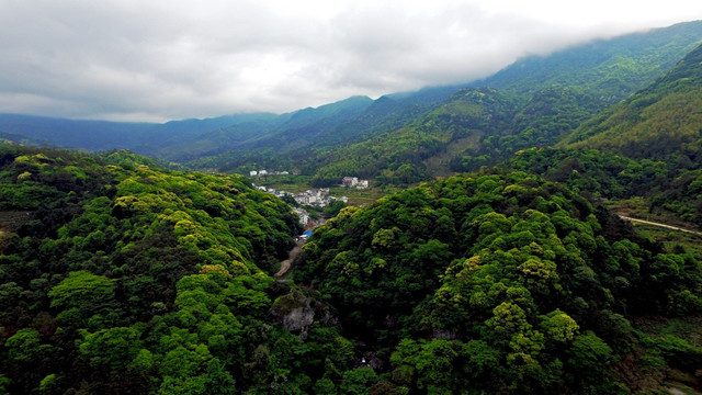 大山村
