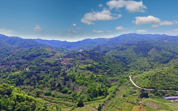 高山原始风光