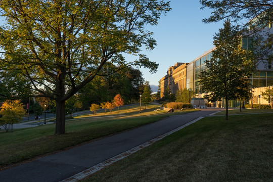 康奈尔大学风光