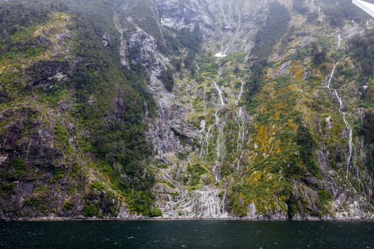 米尔福德峡湾