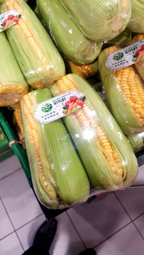 玉米