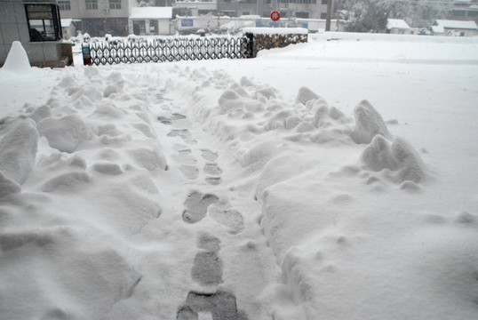 雪景 大雪 冰雪 白雪 鹅毛大