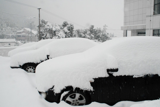 雪景 大雪 冰雪 白雪 鹅毛大