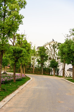 村中公路