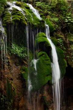 云台山瀑布青苔 太行山青苔苔藓