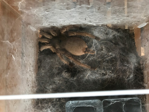 天涯海角