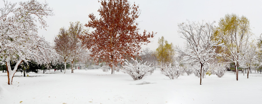 雪景公园