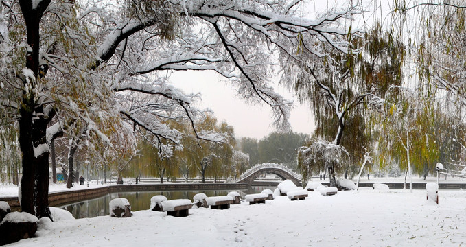 雪景公园