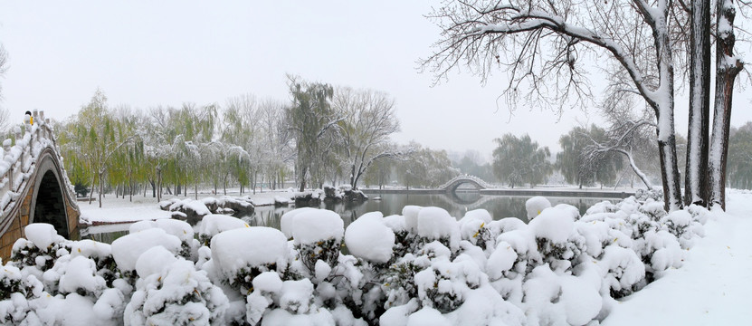 雪景公园