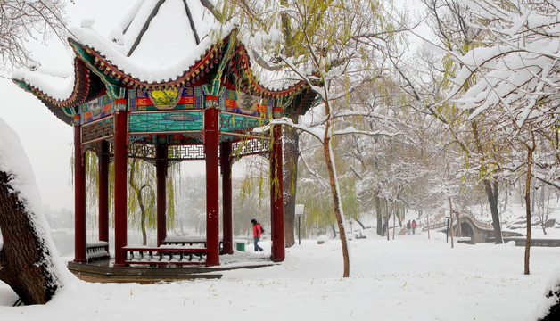 雪景公园