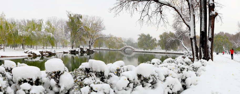 雪景公园