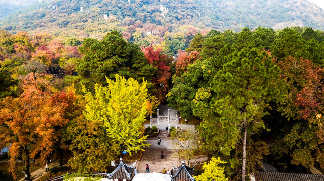 苏州天平山秋色