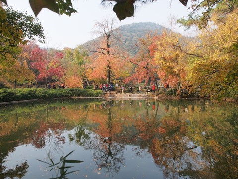 苏州天平山秋色