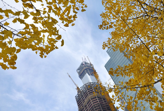 北京城市建设场景