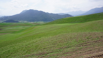 卓尔山风景