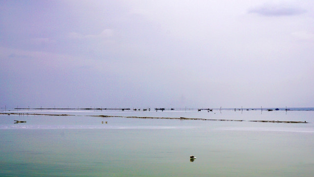 茶卡盐湖风景