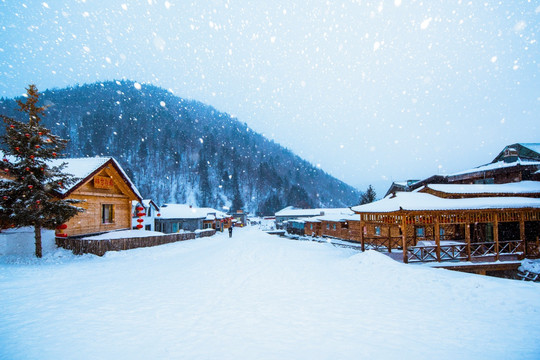 东北冬季 雪景 村庄 飘雪