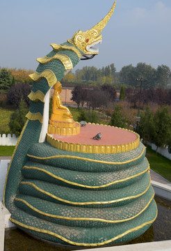 缅甸佛教的蛇神像