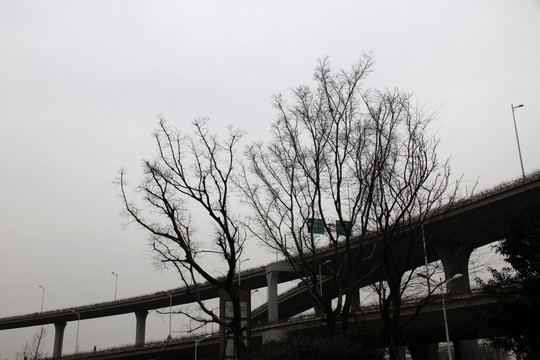 冬日南京 钟山风景区