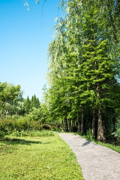 明孝陵景区景观