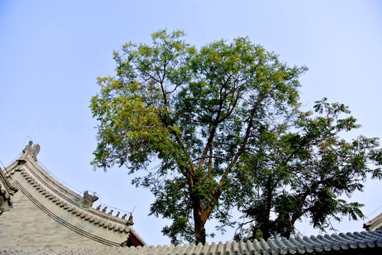 大悲院