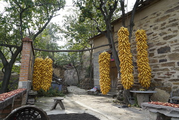 农家小院
