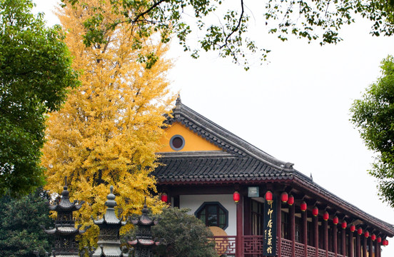 金山寺